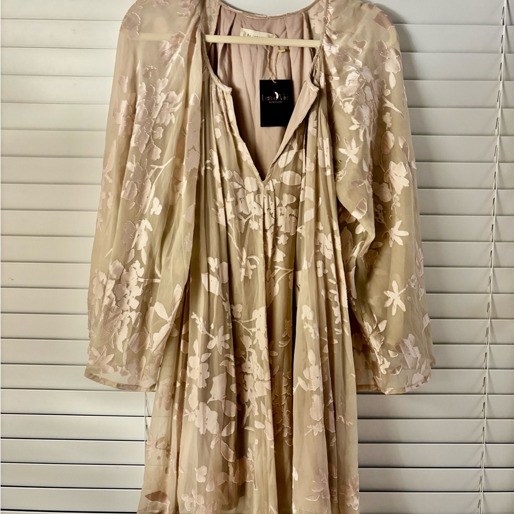 Sheer Long Sleeve Mini Dress